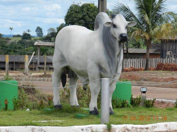 Impulsione Seu Neg&oacute;cio em Chupinguaia! Anuncie Agora com o NorteOutdoor!