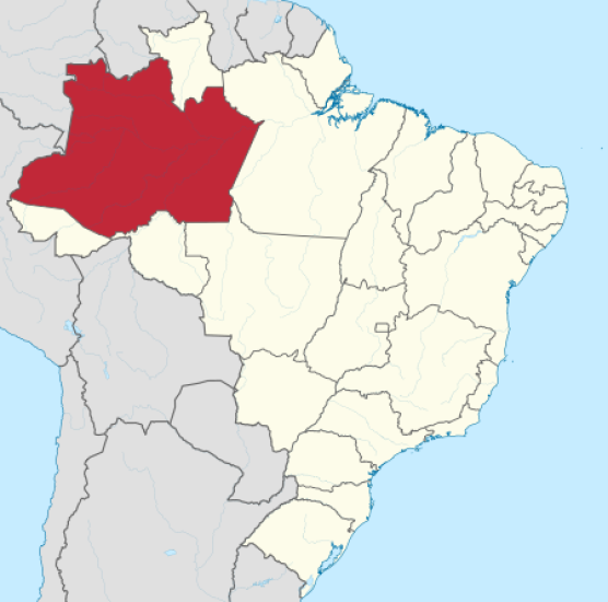 "NORTEOUTDOOR NO AMAZONAS:  MAIS DE 1.400 OPORTUNIDADES DE M&Iacute;DIA EXTERNA PARA SUA MARCA BRILHAR
