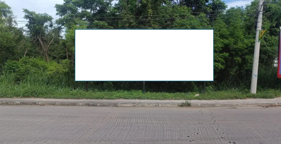 61pi