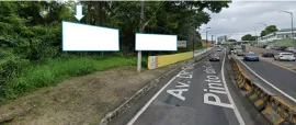 Ponto nº 31CP